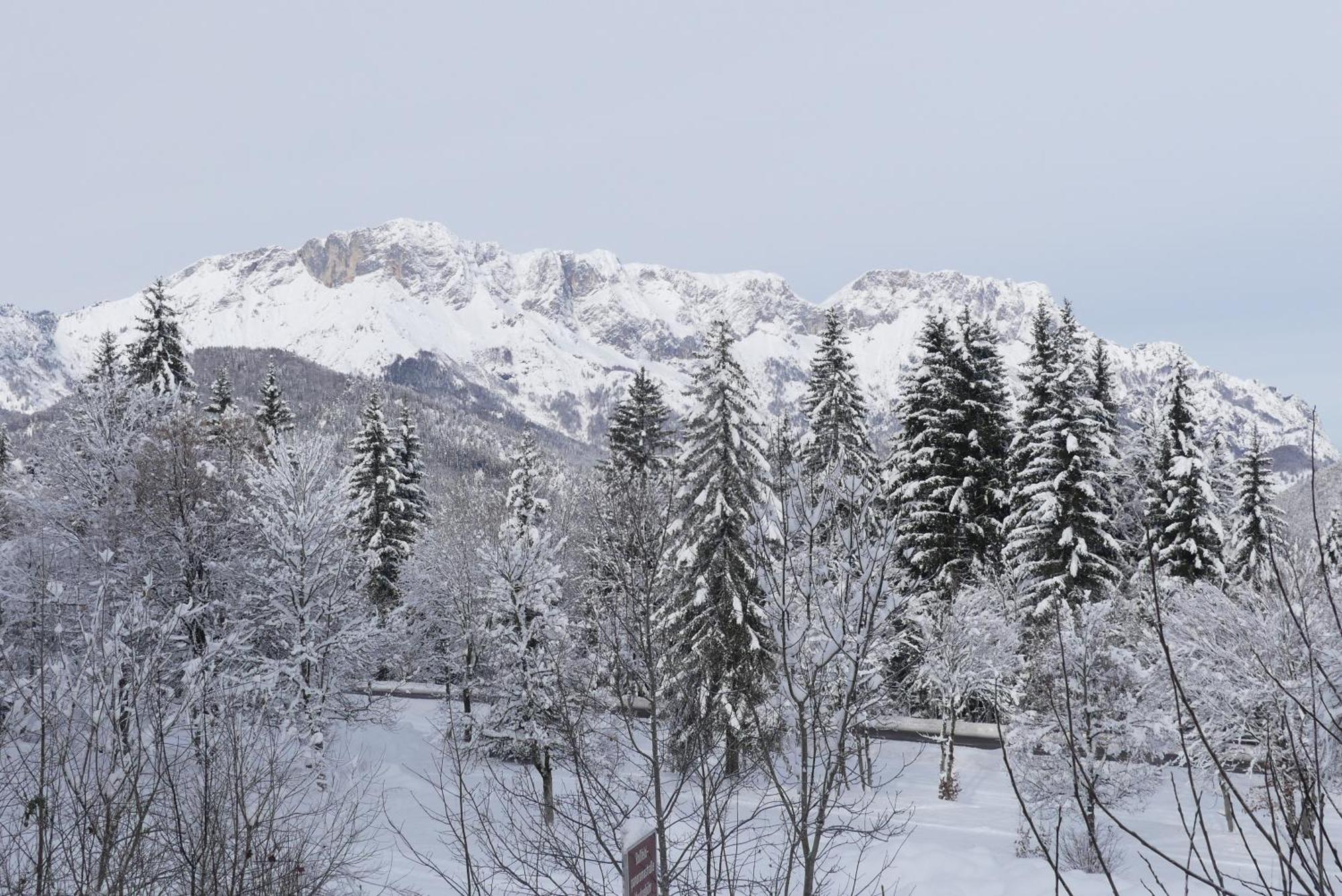 Ferienwohnungen Haus Kunterbunt Berchtesgaden Exterior foto